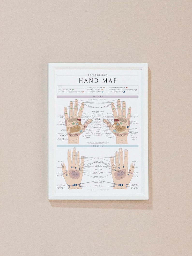 May include: A white framed chart with the title "Reflexology Hand Map" and a diagram of the hands showing reflexology points for different body systems. The chart is divided into two sections: "Palmar" and "Dorsal".