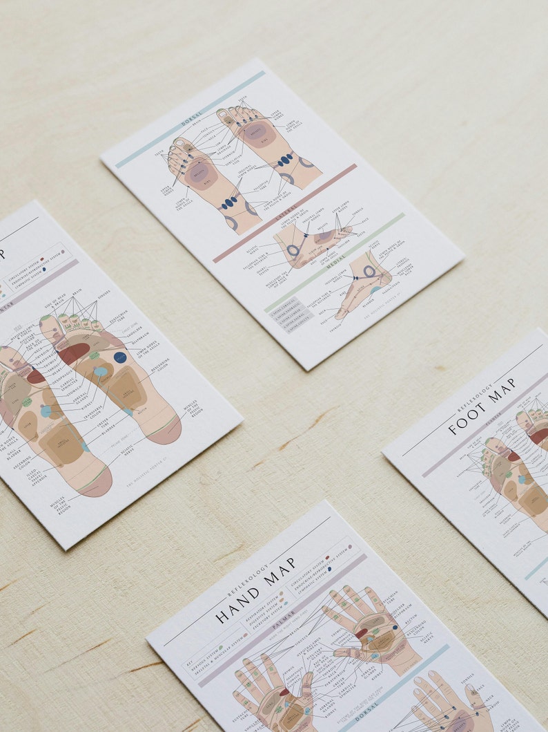 May include: Four illustrated charts showing reflexology maps of the hands and feet. The charts are printed on white paper with a light wood background. The charts show the location of pressure points on the hands and feet that correspond to different organs and systems in the body.