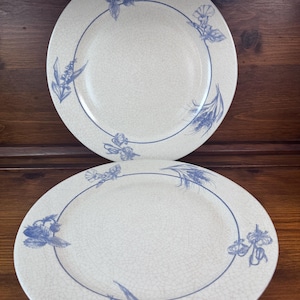 May include: Two off-white ceramic plates with a blue floral design. Each plate features a blue border and a delicate pattern of flowers and leaves. The plates have a slightly aged, crackled appearance.