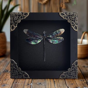 Real Damselfly Specimen Framed Taxidermy Insect Wall Art with Ornate Frame Collector’s Bug Display Entomology Lover Gift