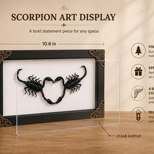 May include: A black rectangular frame containing two black scorpions arranged in a heart shape on a white background. The frame features ornate brass corner protectors and a clear acrylic front. Dimensions are 10.6 inches wide, 5.5 inches high, and 1.2 inches deep.