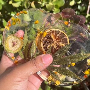 Puede incluir: Dos posavasos transparentes de resina con inclusiones botánicas secas. Un posavasos presenta una rodaja de higo seco, mientras que el otro tiene una rodaja de limón seco. Ambos posavasos tienen hojas verdes y flores amarillas.