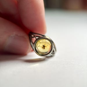 May include: A silver ring with a round amber stone. The amber contains a preserved insect. The ring has an open, decorative design around the amber stone. The ring is held by a person's fingers.