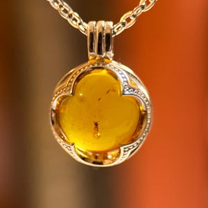 Puede incluir: Un colgante redondo con una piedra de ámbar de color amarillo dorado, translúcida y pulida, engastada en un marco de metal plateado con forma de trébol. Un pequeño insecto es visible dentro del ámbar. El colgante cuelga de una cadena de color plateado.