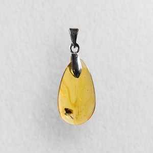 LEAFHOPPER i bärnstensfärgad hänge fossil 99 miljoner år gammal burmesisk/burmit unisex design