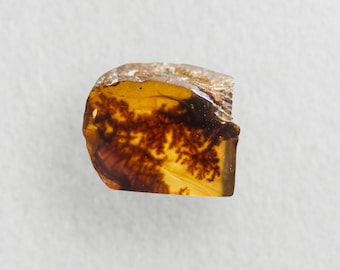May include: A piece of amber with a natural, tree-like inclusion. The amber is a translucent, golden-brown color, with darker brown and black patterns inside. The amber is irregularly shaped and has a rough texture.