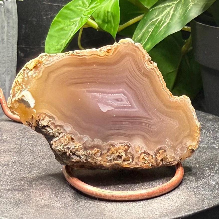 Calandria agate - Etsy 日本