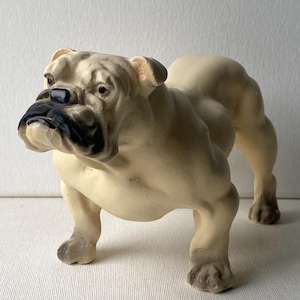 Chalkware Bulldog - Etsy