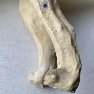 May include: A close-up of a beige-colored bone fragment, possibly a human or animal bone. The bone has a rough, textured surface with visible markings and a small, dark blue spot. The shape suggests a joint or articulation.