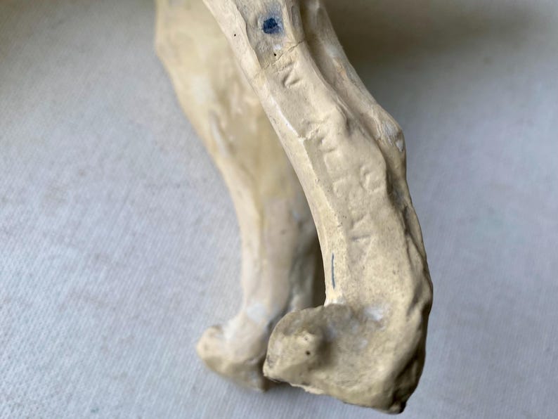 May include: A close-up of a beige-colored bone fragment, possibly a human or animal bone. The bone has a rough, textured surface with visible markings and a small, dark blue spot. The shape suggests a joint or articulation.