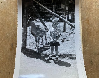 Early 1960’s Catskill Game Farm Photo Snapshot Booklet - 14 Photos - Young Boy With Various Animals - Zebra, Buffalo, Elephant, Etc.