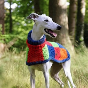May include: A white dog wearing a colourful knitted sweater with red, green, blue and orange squares. The dog is standing in a grassy area with trees in the background.