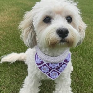 Dog Bandana CROCHET PATTERN – Easy DIY Pet Accessory for Stylish Dogs, 100% Cotton Yarn, Perfect for All Seasons, Customizable Design