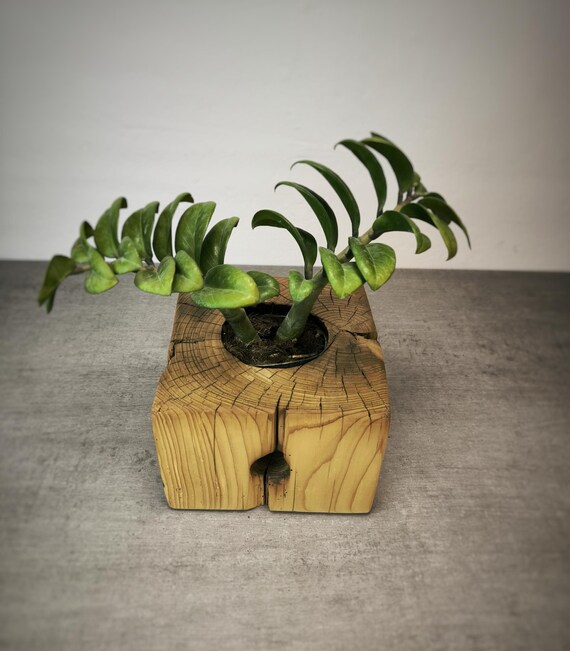Pflanzgef aus antikem Balken, rustikaler Blumentopf aus Altholz,  Pflanztopf Massivholz - Etsy.de