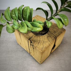 Pflanzgefäß aus antikem Balken, rustikaler Blumentopf aus Altholz, Pflanztopf Massivholz