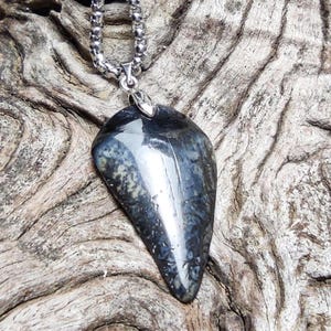 Fossilised shark tooth with black resin pendant