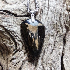 Fossilized shark tooth with resin (Solid Black)