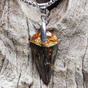 Fossilized shark tooth with resin (Clear/gold flakes)