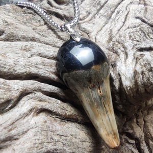 Fossilised shark tooth with resin (Solid black capped)