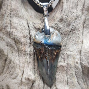 Fossilized shark tooth with resin (Clear silver galaxy)