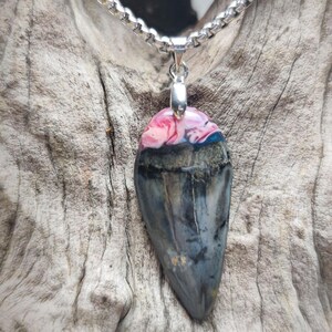 Fossilized shark tooth with resin (Red and Blue)