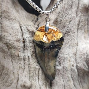Fossilized shark tooth with resin (gold flakes)