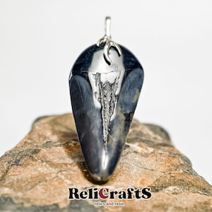 Black Fossil Shark Tooth Pendant