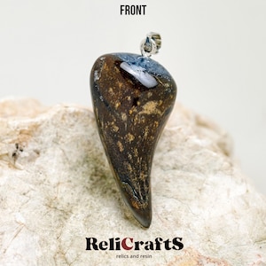 Fossilised shark tooth with Gray resin