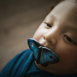 Realistic butterfly pacifier