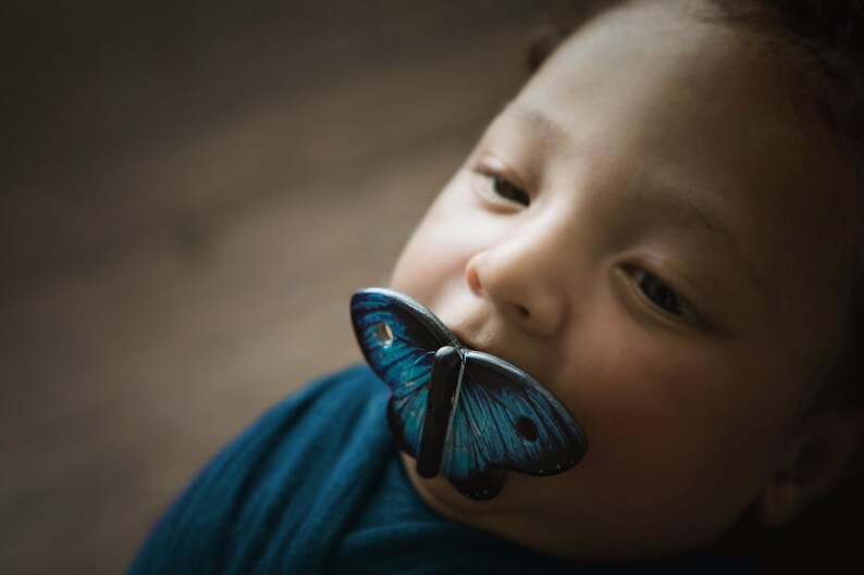 Realistic butterfly pacifier