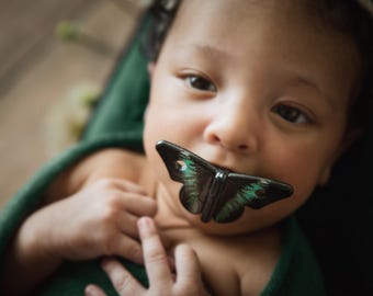 Elegante chupete de mariposa para bebé