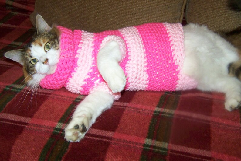 Valentine Sweater for Small Dog or Big Cat Etsy