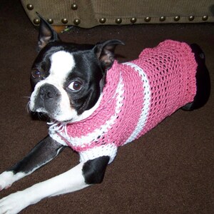 Crocheted Sweater for Medium size Dog