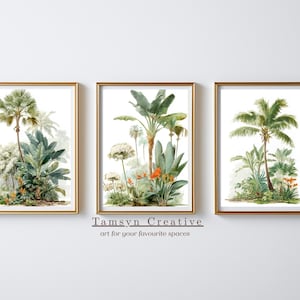 Puede incluir: Tres impresiones botánicas enmarcadas con ilustraciones de acuarela de plantas tropicales y palmeras. La obra de arte tiene una estética vintage con marcos dorados. El texto "Tamsyn Creative art for your favourite spaces" está en la parte inferior.