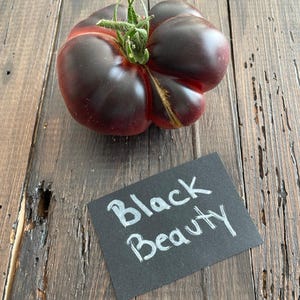 Black Beauty Tomato 10 seeds