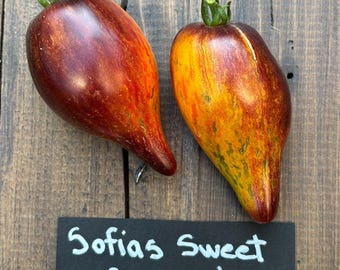 Tomate Caramelo Dulce Sophia 10 semillas