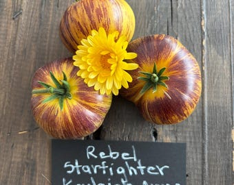 Rebel Starfighter Kayleigh Anne Tomate 10 Samen