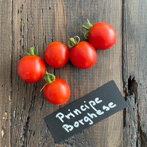 Príncipe Borghese Tomato 10 Seeds