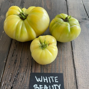 White Beauty Tomato 10 seeds