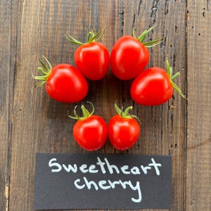 10 semi di pomodorino Sweetheart
