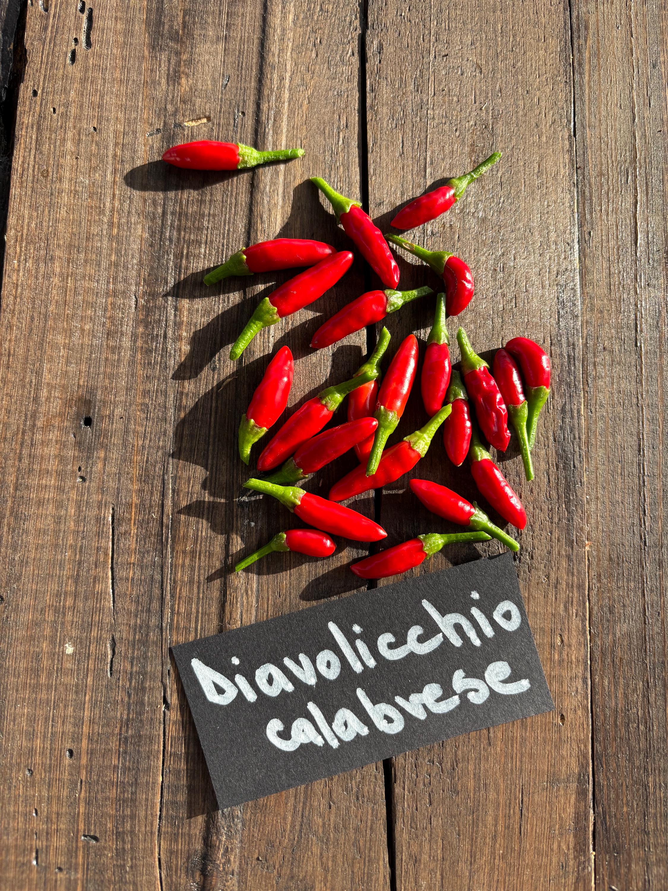 Calabrian chili - Etsy 日本