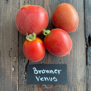 Bronner Venus Tomate 10 Samen