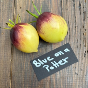 Könnte beinhalten: Zwei gelb-violette Tomaten mit grünen Stielen liegen auf einer Holzoberfläche. Ein schwarzes Etikett mit den Worten "Blue on a Patter" in weißer Kreide befindet sich in der Nähe der Tomaten. Die Tomaten haben einen Farbverlauf.