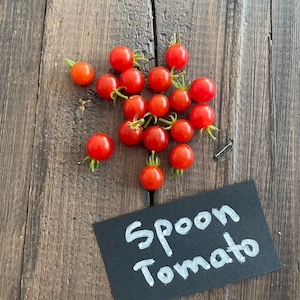 Cuchara Tomate 10 semillas