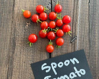 Spoon Tomato 10 seeds