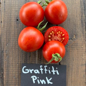 Graffiti Roze Tomaat 10 zaden