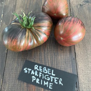 Pomidor Rebel Starfighter Prime 10 nasion