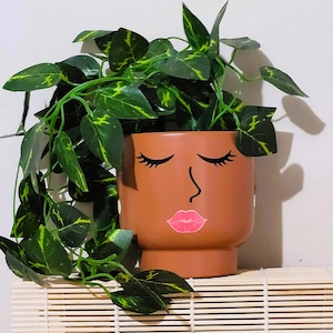 May include: A terracotta-colored ceramic planter with a face design, featuring closed eyes, a nose, and pink lips. The planter is filled with green and yellow leafy vines. The planter sits on a bamboo mat.