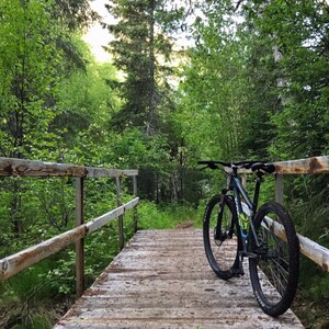 Peut inclure: Un vélo de montagne noir avec un cadre vert et bleu est garé sur un pont en bois dans une forêt. Le pont est entouré d'arbres et de feuillages verts.