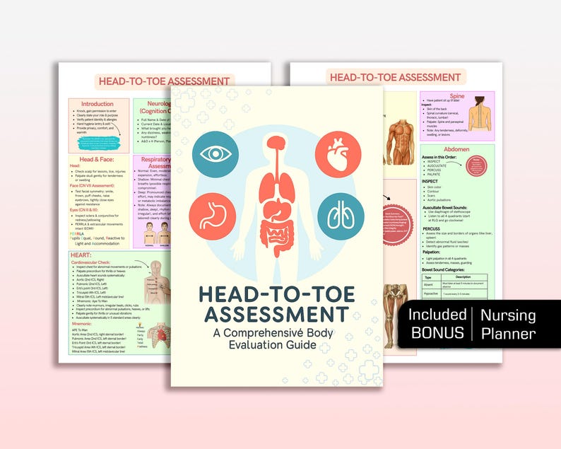 Head to Toe Assessment Template for Nursing Student Head to Toe ...